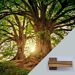 Dopřejte vašim dveřím kus pravé přírody